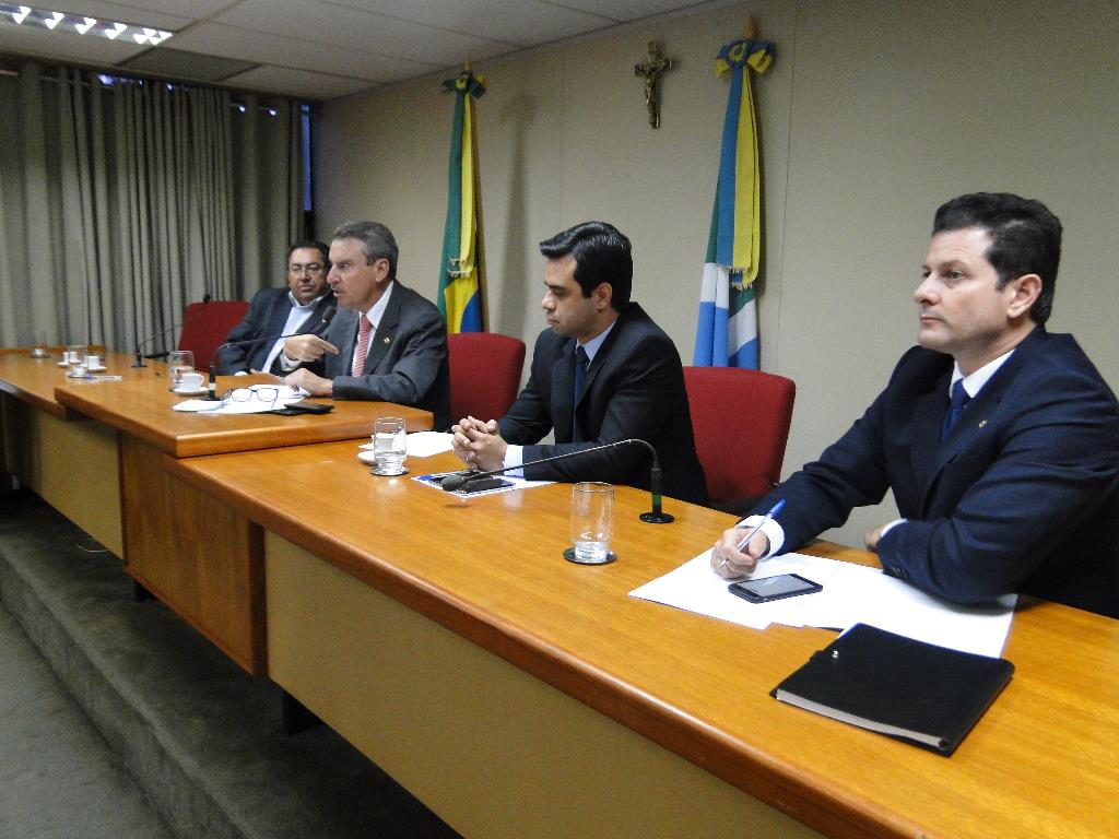 Imagem: Comissão é presidida pelo deputado Paulo Corrêa e conta com representantes de entidades