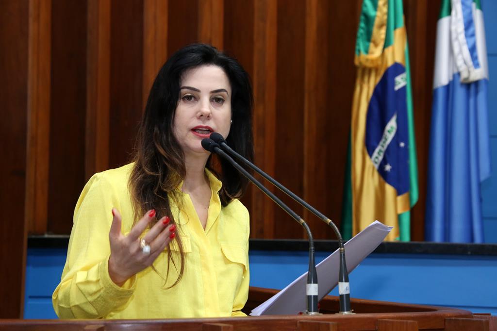 Imagem: Mara Caseiro vai a tribuna repudiar declarações contra produtores
