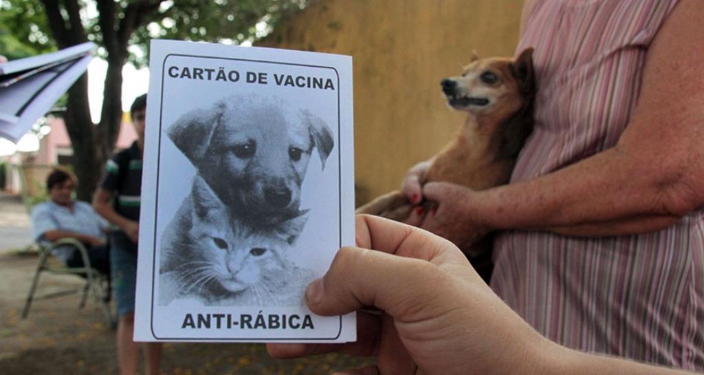 Imagem: Incentivar a guarda responsável e medidas de controle de reprodução de animais são os objetivos da lei