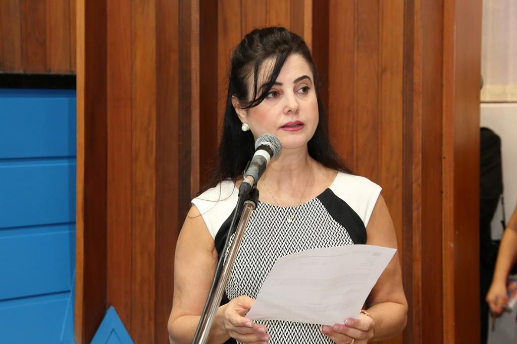 Imagem: Mara Caseiro quer melhorias para rodovias da região do Conesul