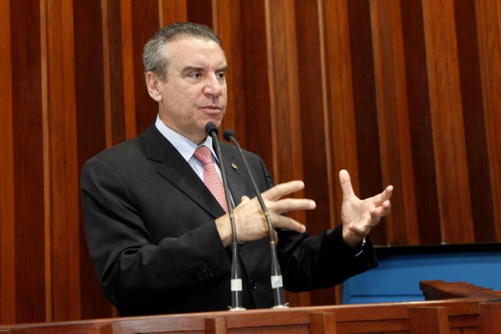 Imagem: Para o deputado Paulo Corrêa, mercado cativo prejudica economia de MS