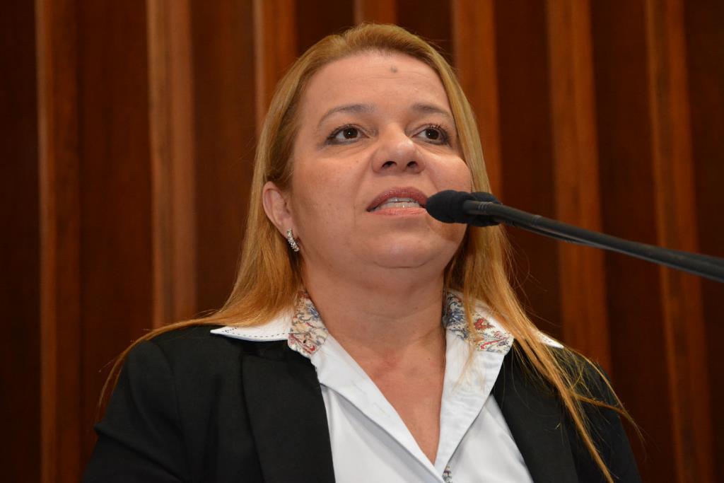 Imagem: Gisele Marques cobrou aplicação do Plano Nacional de Valorização da Mulher Advogada