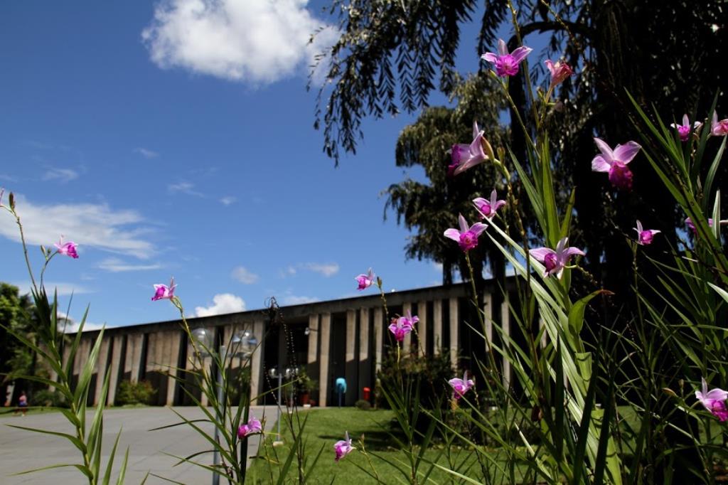 Imagem: Assembleia irá comemorar a Semana do Meio Ambiente com plantio de mudas