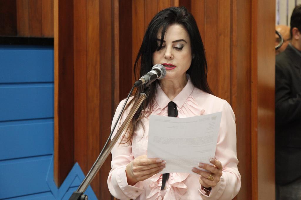 Imagem: A Comissão de Saúde da Assembleia Legislativa é presidida pela deputada Mara Caseiro