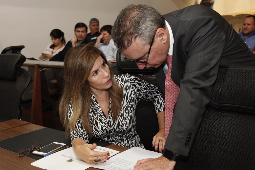 Imagem: Antonieta Amorim pretende homenagear a memória de Hildebrando Campestrini