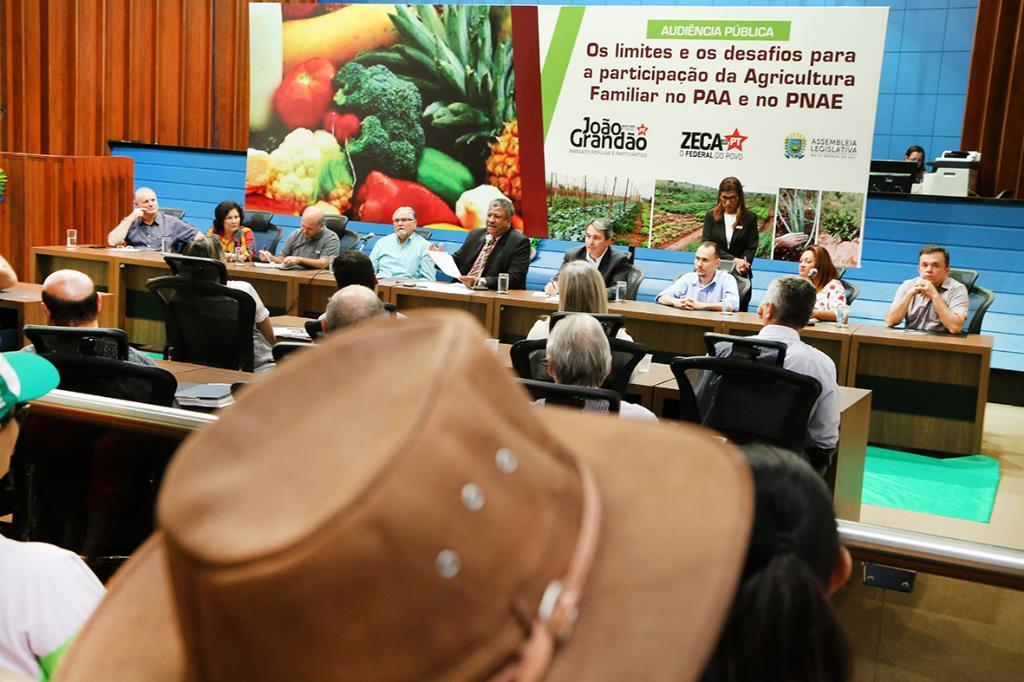 Imagem: Audiência pública reuniu autoridades e agricultores de 32 municípios de MS