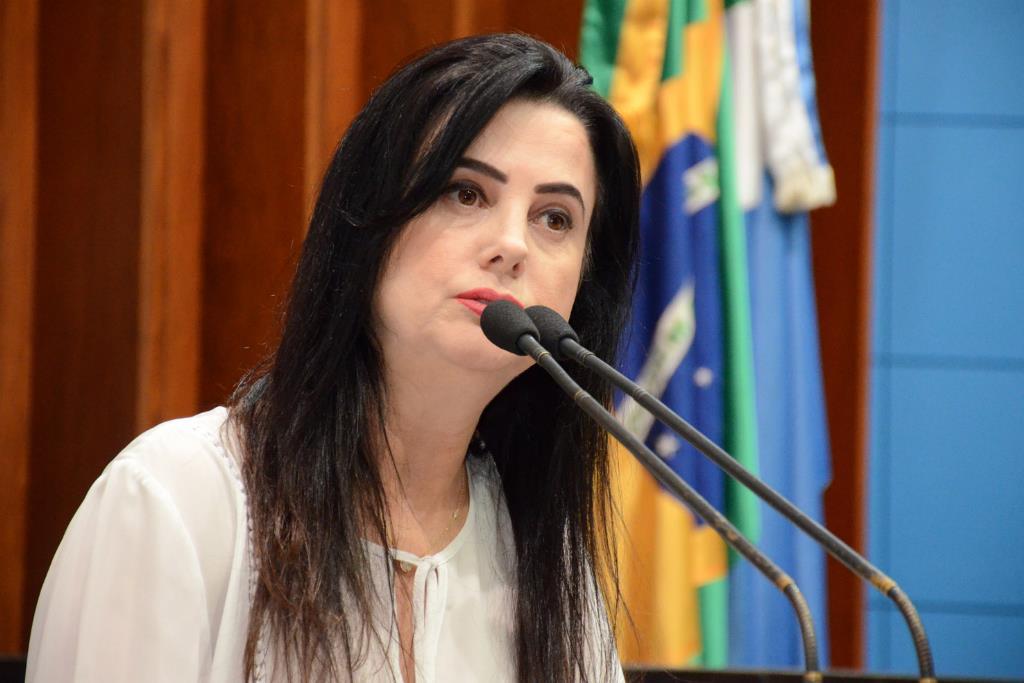 Imagem: Mara Caseiro comandará audiência pública  